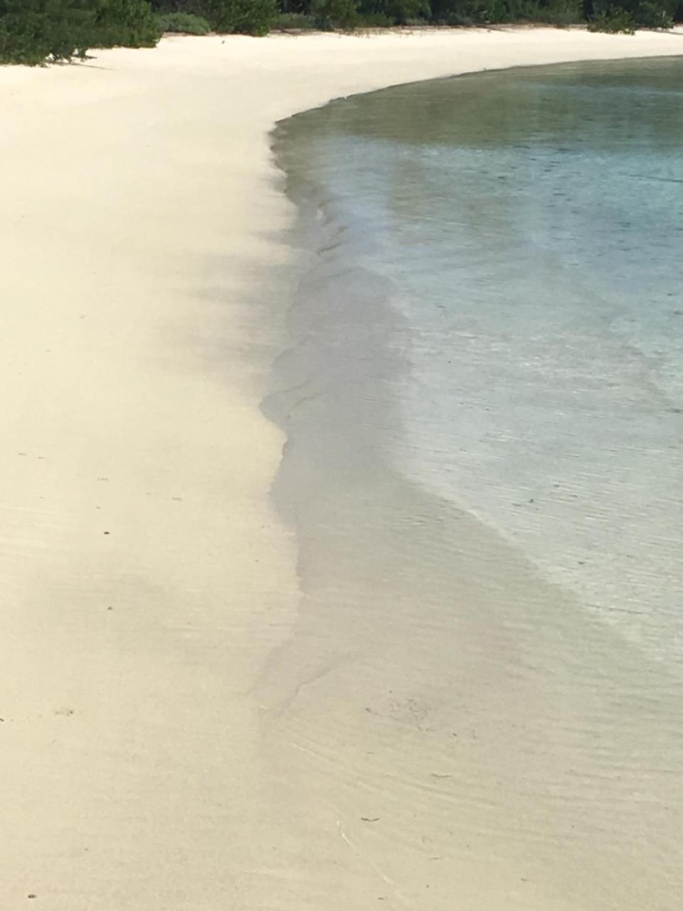 Ocean Tally Upper Bogue Buitenkant foto