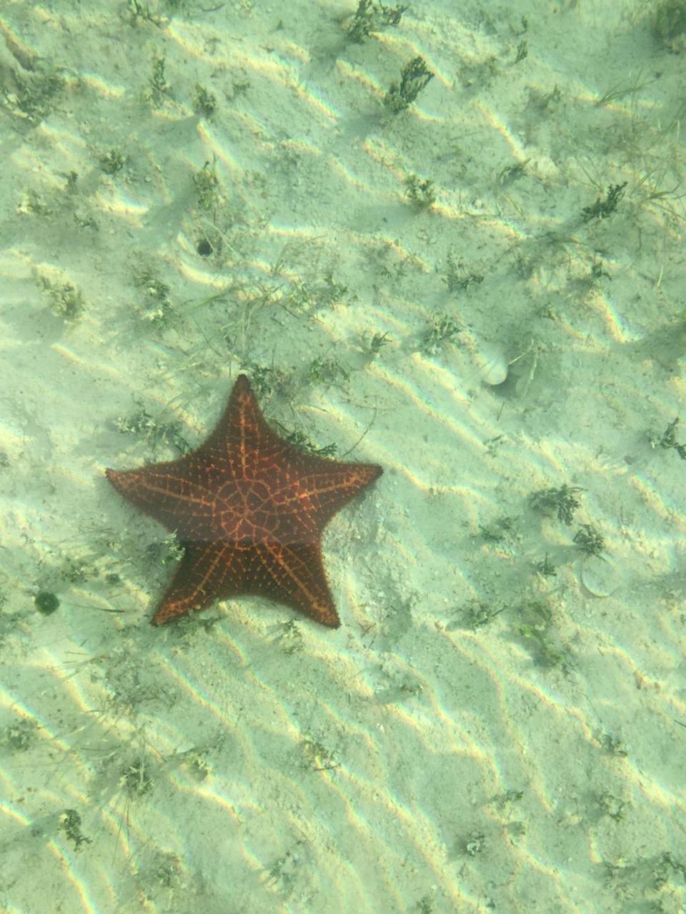 Ocean Tally Upper Bogue Buitenkant foto